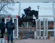Lucky della Verdina Tosc Tour2013- S5 1958 : Arezzo, Cavalli d'Italia, Lucky della Verdina, Toscana Tour 2013, foto di Stefano Secchi ©
